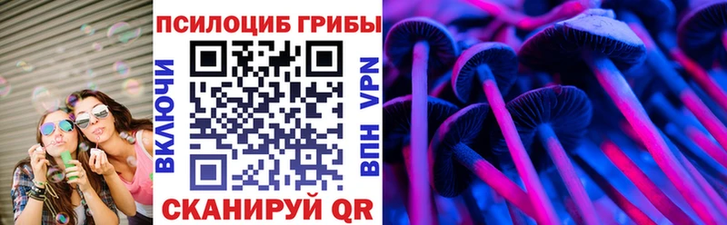 Купить  Моздок  Псилоцибиновые грибы GOLDEN TEACHER 
